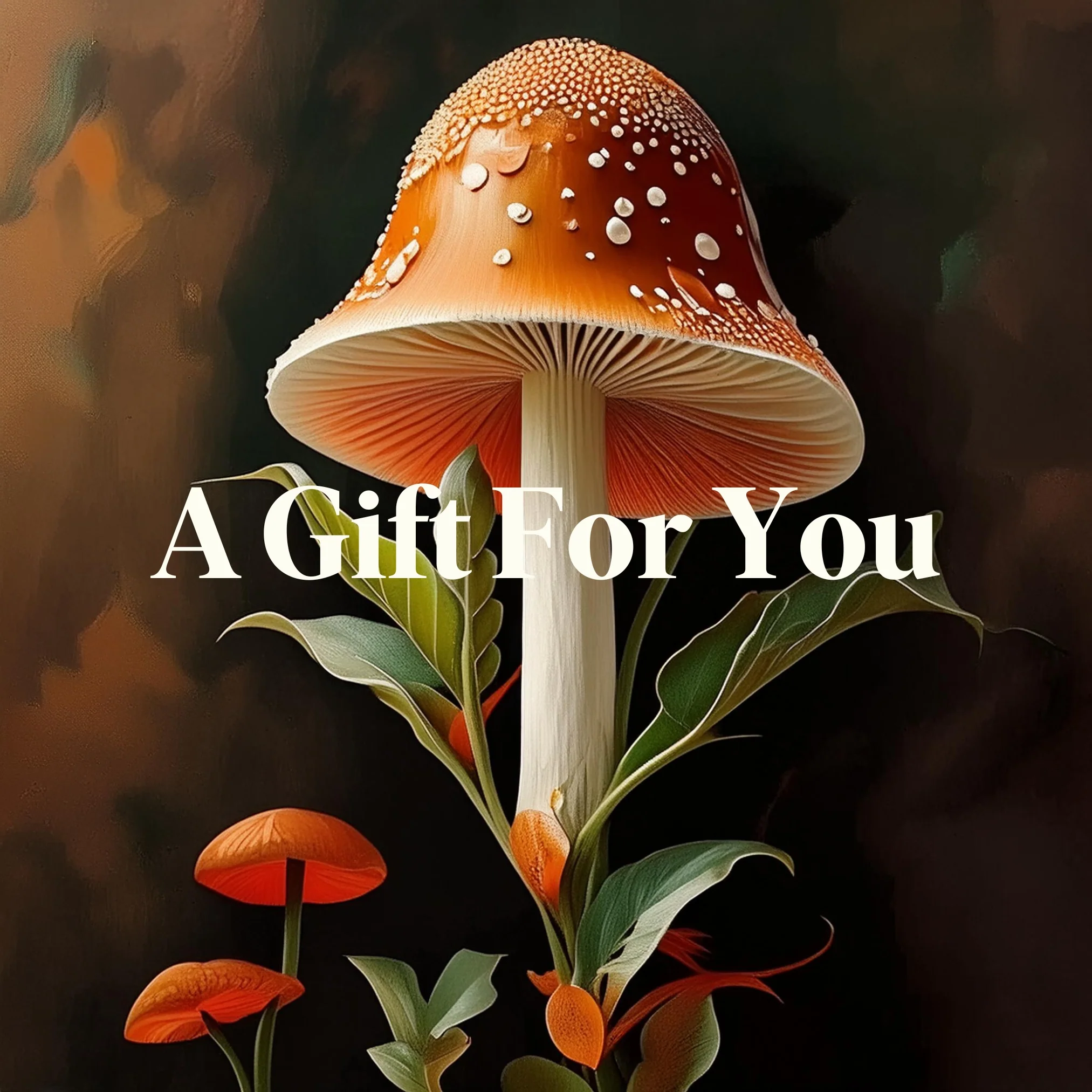 Gifts Under $25